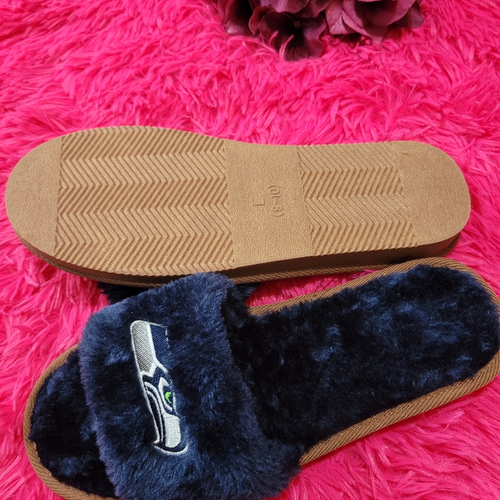 Seahawks slides - Picture 3 of 6